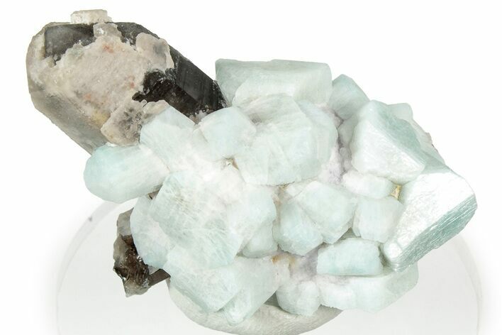 Amazonite Crystal Cluster with Smoky Quartz - Colorado #358643